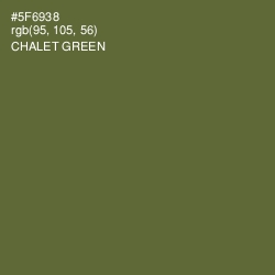 #5F6938 - Chalet Green Color Image